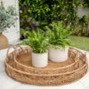 Brand new ๐ Sagebrook Home Set Of 2 Square Dot Planter 6, 8" With Saucer, Beige 8"H - 8.0" X 8.0" X 8.0" โ๏ธ 1 Brand new ๐ Sagebrook Home Set Of 2 Square Dot Planter 6, 8" With Saucer, Beige 8"H - 8.0" X 8.0" X 8.0" โ๏ธ -Sagebrook Home Online Shop unnamed file 112