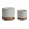 Best reviews of โญ Sagebrook Home Ceramic Set Of 2 5, 6" Planter With Saucer, White 6.0"H - 6.0" X 6.0" X 6.0" ๐ 2 Best reviews of โญ Sagebrook Home Ceramic Set Of 2 5, 6" Planter With Saucer, White 6.0"H - 6.0" X 6.0" X 6.0" ๐ -Sagebrook Home Online Shop unnamed file 1262