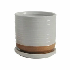 Best reviews of ⭐ Sagebrook Home Ceramic Set Of 2 5, 6" Planter With Saucer, White 6.0"H - 6.0" X 6.0" X 6.0" 🔔 -Sagebrook Home Online Shop unnamed file 1264