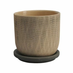 Best deal ๐ Sagebrook Home Set Of 2 5, 6" Mesh Planter With Saucer, Gray 5.75"H - 6.0" X 6.0" X 5.75" โ 7 Best deal ๐ Sagebrook Home Set Of 2 5, 6" Mesh Planter With Saucer, Gray 5.75"H - 6.0" X 6.0" X 5.75" โ -Sagebrook Home Online Shop unnamed file 1284