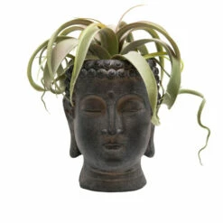 Hot Sale ⌛ Sagebrook Home Resin 9" Buddha Flower Pot, Black 9"H - 8.0" X 8.0" X 9.0" 😀 -Sagebrook Home Online Shop unnamed file 1365