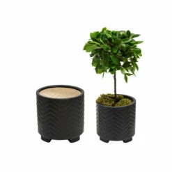 Buy 🎉 Sagebrook Home Set Of 2 Ceramic 6, 8" Chevron Footed Planter, Black 8"H - 7.75" X 7.75" X 8.0" 🔥 -Sagebrook Home Online Shop unnamed file 1445