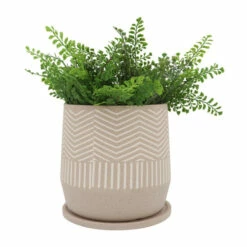Top 10 😀 Sagebrook Home Ceramic Set Of 2 7, 10"d Stripes Planters With Saucer, Tan 10.0"H - 10.0" X 10.0" X 10.0" ⌛ -Sagebrook Home Online Shop unnamed file 1449