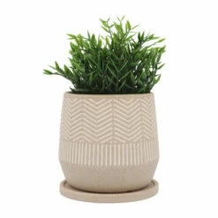 Top 10 😀 Sagebrook Home Ceramic Set Of 2 7, 10"d Stripes Planters With Saucer, Tan 10.0"H - 10.0" X 10.0" X 10.0" ⌛ -Sagebrook Home Online Shop unnamed file 1450