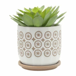Best Sale 🤩 Sagebrook Home Set Of 2 5, 6" Circles Planter With Saucer, Beige - 6.0" X 6.0" X 6.0" 🥰 15 Best Sale 🤩 Sagebrook Home Set Of 2 5, 6" Circles Planter With Saucer, Beige - 6.0" X 6.0" X 6.0" 🥰 -Sagebrook Home Online Shop unnamed file 1478