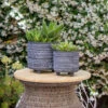Coupon 🧨 Sagebrook Home Set Of 2 Tribal Look Footed Planter 6, 8", Black 8"H - 8.0" X 8.0" X 8.0" 🎁 -Sagebrook Home Online Shop unnamed file 1605