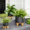 Outlet 👍 Sagebrook Home 5" Textured Planter With Stand, Black 5.0"H - 6.0" X 6.0" X 5.0" ✔️ -Sagebrook Home Online Shop unnamed file 1717