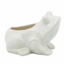 Top 10 🥰 Sagebrook Home 6" Frog Planter, White 7.0"H - 9.0" X 6.0" X 7.0" 🤩 -Sagebrook Home Online Shop unnamed file 1763
