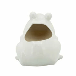 Top 10 🥰 Sagebrook Home 6" Frog Planter, White 7.0"H - 9.0" X 6.0" X 7.0" 🤩 -Sagebrook Home Online Shop unnamed file 1764
