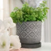 Budget 🔥 Sagebrook Home 6" Diamond Pattern Planter Withsaucer, Gray 5.59"H - 5.71" X 5.71" X 5.59" ✨ 1 Budget 🔥 Sagebrook Home 6" Diamond Pattern Planter Withsaucer, Gray 5.59"H - 5.71" X 5.71" X 5.59" ✨ -Sagebrook Home Online Shop unnamed file 1976