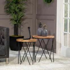 Coupon 🥰 Sagebrook Home Metal 10"h Fake Snake, Black 10"H - 6.5" X 6.0" X 10.0" 🥰 -Sagebrook Home Online Shop unnamed file 1987