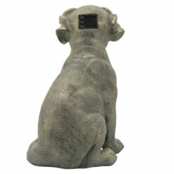Coupon π₯ Sagebrook Home Resin, 15"h Sitting πΆ Dog With Solar, Antique Gold 15"H π 9 Coupon π₯ Sagebrook Home Resin, 15"h Sitting πΆ Dog With Solar, Antique Gold 15"H π -Sagebrook Home Online Shop unnamed file 204