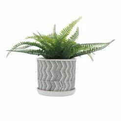 Buy 😀 Sagebrook Home Ceramic Set Of 2 6, 8" Dotted Zigzag Planter With Saucer , Iv 7.0"H - 8.0" X 8.0" X 7.0" 🔔 -Sagebrook Home Online Shop unnamed file 2042