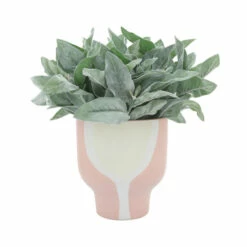 Deals 💯 Sagebrook Home Ceramic 9" Mushroom Planter, Blush 10.0"H - 9.0" X 9.0" X 10.0" 🎉 -Sagebrook Home Online Shop unnamed file 2094