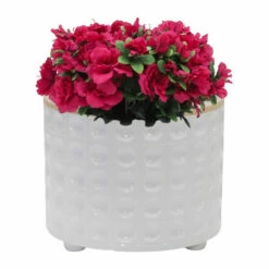 Promo ๐ Sagebrook Home Set Of 2 Ceramic Dimpled Footed Planter 10, 12", White 11"H - 12.0" X 12.0" X 11.0" โญ 14 Promo ๐ Sagebrook Home Set Of 2 Ceramic Dimpled Footed Planter 10, 12", White 11"H - 12.0" X 12.0" X 11.0" โญ -Sagebrook Home Online Shop unnamed file 2144