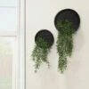 Discount ๐ฅฐ Sagebrook Home Metal Set Of 2 9, 12" Wall Planters, Black 5"H - 12.0" X 12.0" X 5.0" ๐ฅฐ 1 Discount ๐ฅฐ Sagebrook Home Metal Set Of 2 9, 12" Wall Planters, Black 5"H - 12.0" X 12.0" X 5.0" ๐ฅฐ -Sagebrook Home Online Shop unnamed file 2149