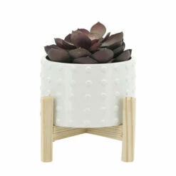 Coupon 😉 Sagebrook Home 6" Ceramic Dotted Planter With Wood Stand, White 7.0"H - 6.0" X 6.0" X 7.0" 🥰 -Sagebrook Home Online Shop unnamed file 216