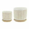 Flash Sale ⌛ Sagebrook Home CeramicSet Of 2 5, 6" Planter With Saucer, Sand - 6.0" X 6.0" X 6.0" 🎁 -Sagebrook Home Online Shop unnamed file 2188