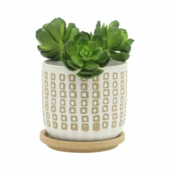 Flash Sale ⌛ Sagebrook Home CeramicSet Of 2 5, 6" Planter With Saucer, Sand - 6.0" X 6.0" X 6.0" 🎁 -Sagebrook Home Online Shop unnamed file 2190
