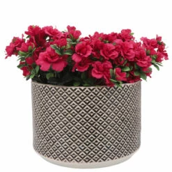 Buy π₯ Sagebrook Home Resin, Set Of 2 10, 13"d Tribal Planters, Brown 13"H - 13.0" X 13.0" X 13.0" β 9 Buy π₯ Sagebrook Home Resin, Set Of 2 10, 13"d Tribal Planters, Brown 13"H - 13.0" X 13.0" X 13.0" β -Sagebrook Home Online Shop unnamed file 2210