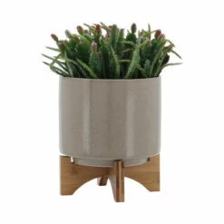 Best Pirce ๐ Sagebrook Home 8" Planter With Wood Stand, Beige 9.0"H - 8.0" X 8.0" X 9.0" ๐คฉ 11 Best Pirce ๐ Sagebrook Home 8" Planter With Wood Stand, Beige 9.0"H - 8.0" X 8.0" X 9.0" ๐คฉ -Sagebrook Home Online Shop unnamed file 2317