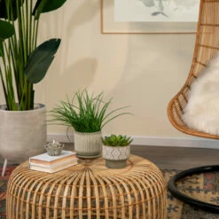 Top 10 ๐ Sagebrook Home Ceramic 4.5" Planter Beige 4.5"H - 5.5" X 5.5" X 4.5" โญ