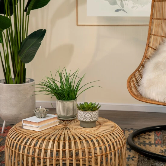 Top 10 π Sagebrook Home Ceramic 4.5" Planter Beige 4.5"H - 5.5" X 5.5" X 4.5" β 3 Top 10 π Sagebrook Home Ceramic 4.5" Planter Beige 4.5"H - 5.5" X 5.5" X 4.5" β