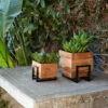 Best deal ❤️ Sagebrook Home Set Of 2 Wood, Metal 7, 10" Square Planters, Brown, Black 10"H - 10.0" X 8.0" X 10.0" 👍 -Sagebrook Home Online Shop unnamed file 2401