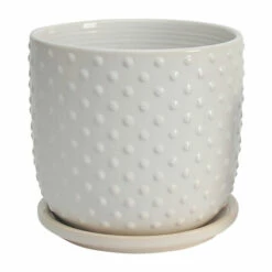 Hot Sale ๐ Sagebrook Home Set Of 2 5, 6" Tiny Dots Planter With Saucer, White 6.0"H - 6.0" X 6.0" X 6.0" ๐ 6 Hot Sale ๐ Sagebrook Home Set Of 2 5, 6" Tiny Dots Planter With Saucer, White 6.0"H - 6.0" X 6.0" X 6.0" ๐ -Sagebrook Home Online Shop unnamed file 2442