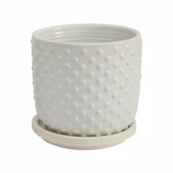 Hot Sale ๐ Sagebrook Home Set Of 2 5, 6" Tiny Dots Planter With Saucer, White 6.0"H - 6.0" X 6.0" X 6.0" ๐ 7 Hot Sale ๐ Sagebrook Home Set Of 2 5, 6" Tiny Dots Planter With Saucer, White 6.0"H - 6.0" X 6.0" X 6.0" ๐ -Sagebrook Home Online Shop unnamed file 2443