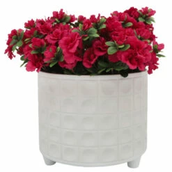 Budget ๐ Sagebrook Home Por, Set Of 2 10, 12" ๐จ Hammered Footed Planter, White 10.0"H - 12.0" X 12.0" X 10.0" โญ 9 Budget ๐ Sagebrook Home Por, Set Of 2 10, 12" ๐จ Hammered Footed Planter, White 10.0"H - 12.0" X 12.0" X 10.0" โญ -Sagebrook Home Online Shop unnamed file 2447