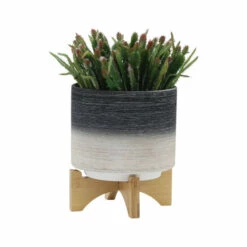 Cheapest 😉 Sagebrook Home Ceramic Set Of 2 8, 10" Planter On Wooden Stand, Gray 12.0"H - 10.0" X 10.0" X 12.0" ✨ 10 Cheapest 😉 Sagebrook Home Ceramic Set Of 2 8, 10" Planter On Wooden Stand, Gray 12.0"H - 10.0" X 10.0" X 12.0" ✨ -Sagebrook Home Online Shop unnamed file 2492