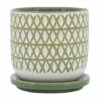 Cheap ⭐ Sagebrook Home Ceramic 5" X-planter With Saucer, Olive 5"H - 5.0" X 5.0" X 5.0" 👍