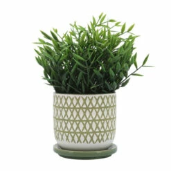 Cheap ⭐ Sagebrook Home Ceramic 5" X-planter With Saucer, Olive 5"H - 5.0" X 5.0" X 5.0" 👍 -Sagebrook Home Online Shop unnamed file 2523