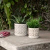 Top 10 🎁 Sagebrook Home Set Of 2 Ceramic 6, 8" Circles Planter With Saucer, Beige 8"H - 8.0" X 8.0" X 8.0" ✔️