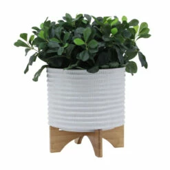 Cheapest ๐ Sagebrook Home 10" Textured Planter With Stand, White 8.0"H - 11.0" X 11.0" X 8.0" ๐ 11 Cheapest ๐ Sagebrook Home 10" Textured Planter With Stand, White 8.0"H - 11.0" X 11.0" X 8.0" ๐ -Sagebrook Home Online Shop unnamed file 2618