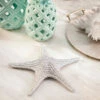Brand new 🌟 Sagebrook Home Polyresin 3"h Starfish Figurine, Silver 3"H - 12.0" X 12.0" X 3.0" 🤩 -Sagebrook Home Online Shop unnamed file 2748