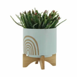 Best deal 😀 Sagebrook Home 8" Arch Planter With Stand, Mint 9.0"H - 8.0" X 8.0" X 9.0" 😉 -Sagebrook Home Online Shop unnamed file 2820