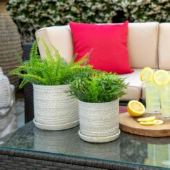 Discount ❤️ Sagebrook Home Set Of 2 Tribal Planter 6, 8" With Saucer, Beige 8"H - 8.0" X 8.0" X 8.0" 😍 -Sagebrook Home Online Shop unnamed file 2842