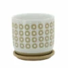Best deal 👍 Sagebrook Home 6" Circles Planter With Saucer, White 6.0"H - 6.0" X 6.0" X 6.0" ⭐ -Sagebrook Home Online Shop unnamed file 2971