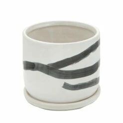 New 👍 Sagebrook Home Set Of 2 5, 6" Painted Planters With Saucer, White 5.12"H - 5.71" X 5.71" X 5.12" 🛒 -Sagebrook Home Online Shop unnamed file 3021