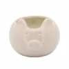 Outlet ✔️ Sagebrook Home Pig Planter, 7" Blush 4.0"H - 6.75" X 5.25" X 4.0" 🤩 -Sagebrook Home Online Shop unnamed file 3033