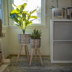 Best reviews of 🔥 Sagebrook Home Set Of 2 Ceramic, 8, 10" Abstract Planter 3 Legs, Cream 22.0"H - 10.0" X 10.0" X 22.0" 🌟 -Sagebrook Home Online Shop unnamed file 3058