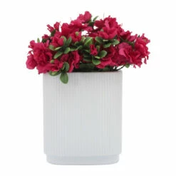 Buy 🥰 Sagebrook Home Ceramic 8"h Ridged Vase, White 8.0"H 🌟 -Sagebrook Home Online Shop unnamed file 3200