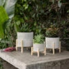 Discount ๐ Sagebrook Home 6" Ceramic Tribal Planter With Wood Stand, Beige 7.0"H - 6.0" X 6.0" X 7.0" ๐ 1 Discount ๐ Sagebrook Home 6" Ceramic Tribal Planter With Wood Stand, Beige 7.0"H - 6.0" X 6.0" X 7.0" ๐ -Sagebrook Home Online Shop unnamed file 3221