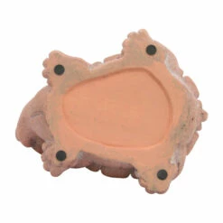 Wholesale 🌟 Sagebrook Home Resin, 12"l Turtle Planter, Terracotta - 12.0" X 10.0" X 8.0" 🤩 -Sagebrook Home Online Shop unnamed file 3437