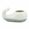 Cheapest ๐คฉ Sagebrook Home Ceramic 5" Whale Planter, Beige 5"H - 9.0" X 5.0" X 5.0" โค๏ธ 1 Cheapest ๐คฉ Sagebrook Home Ceramic 5" Whale Planter, Beige 5"H - 9.0" X 5.0" X 5.0" โค๏ธ -Sagebrook Home Online Shop unnamed file 3478