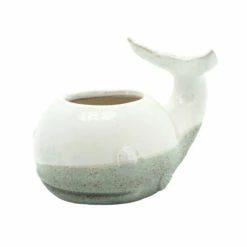 Cheapest π€© Sagebrook Home Ceramic 5" Whale Planter, Beige 5"H - 9.0" X 5.0" X 5.0" β€οΈ 8 Cheapest π€© Sagebrook Home Ceramic 5" Whale Planter, Beige 5"H - 9.0" X 5.0" X 5.0" β€οΈ -Sagebrook Home Online Shop unnamed file 3480
