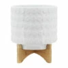 Top 10 😀 Sagebrook Home Ceramic 10" Planter On Wooden Stand, White 12.0"H - 10.0" X 10.0" X 12.0" 👍