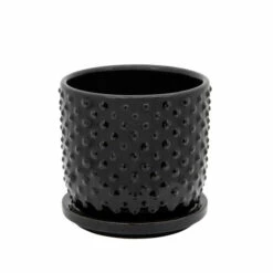 Best Pirce 💯 Sagebrook Home 5" Tiny Dots Planter With Saucer, Black 5"H - 5.0" X 5.0" X 5.0" 🔥